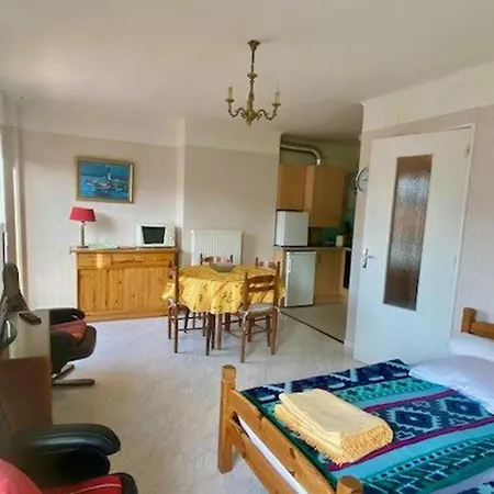 Apartment Avec Terrasse, Parking Et Wifi - Proche Cure Et Centre - Fr-1-703-74 Amelie-les-Bains-Palalda
