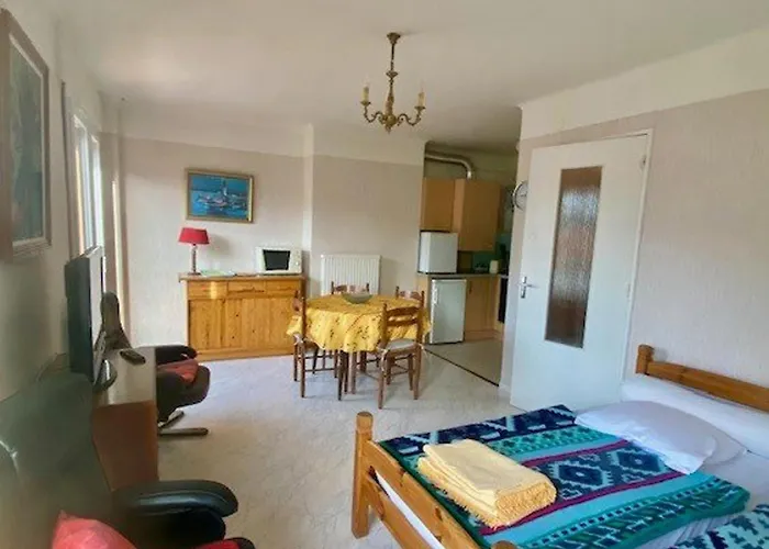 Apartman Avec Terrasse, Parking Et Wifi - Proche Cure Et Centre - Fr-1-703-74 Amélie-les-Bains-Palalda